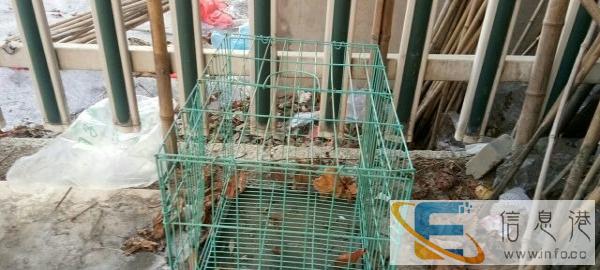 狗笼子价格随意