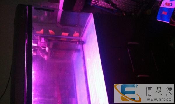 买一送一 搬家速拿水族箱 等于白给