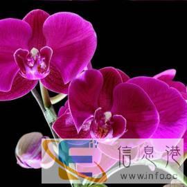 有责任心的住家阿姨