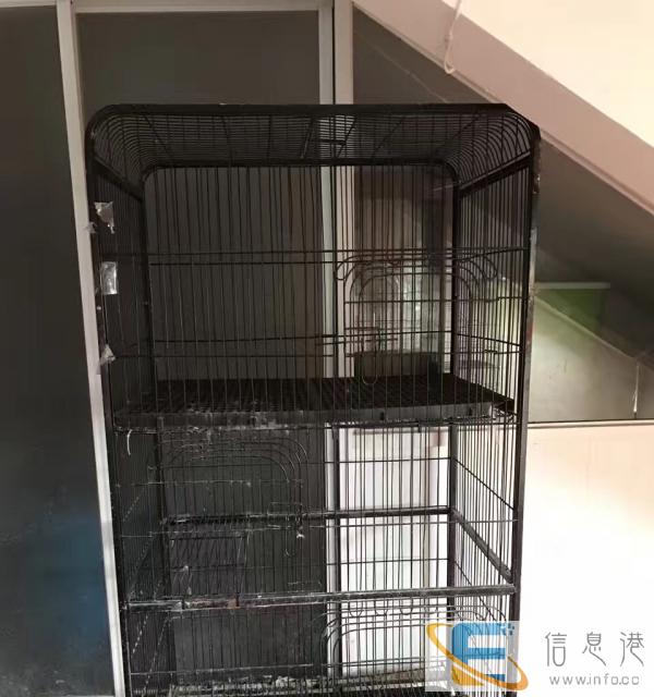 多个猫笼二层