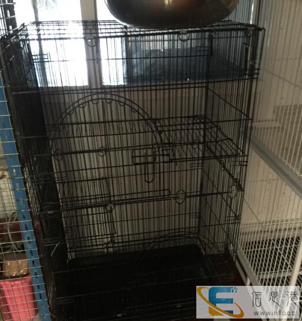 东钱湖猫笼转让