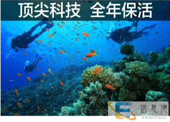 珊珊水族 海水珊瑚缸智能管理,生物保活服务鱼缸定制