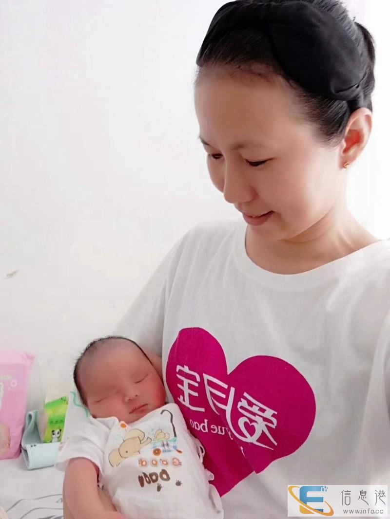 辽阳  专业小时工 住家保姆价格
