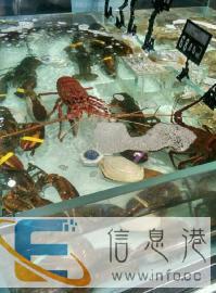 南阳鱼缸海鲜池贝类池设计制作