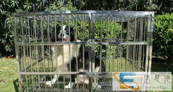 南平名宠不锈钢宠物笼