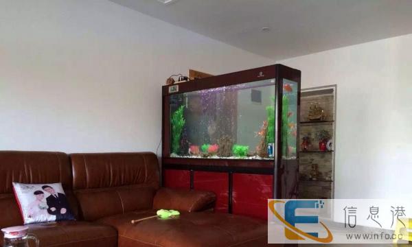 重庆人鱼传奇生态鱼缸，体味家的温度，诚征各地经销商