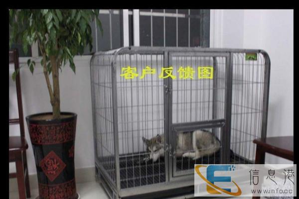 全新狗用品价格260