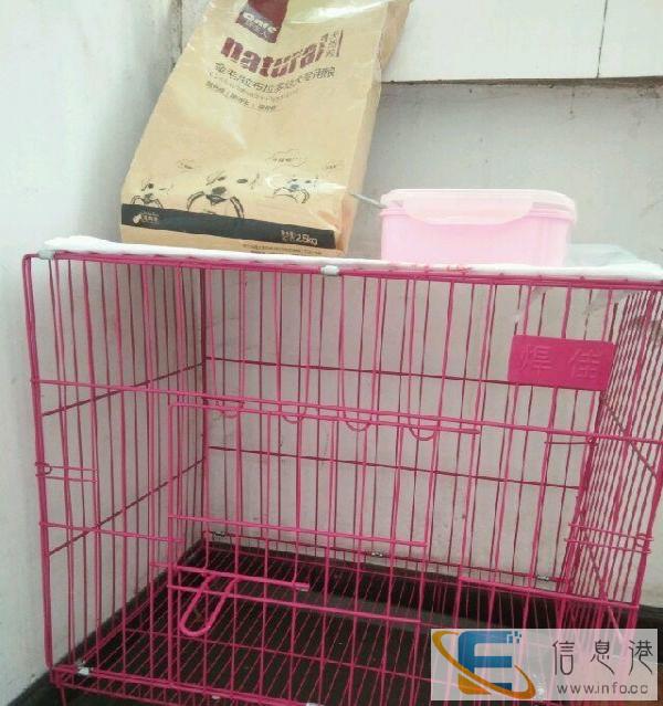 九成新狗笼子低价转让