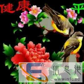 有责任心的住家阿姨
