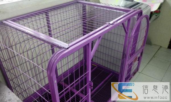 95成新狗用品价格100