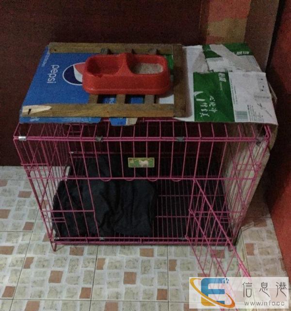 卖个中等大的笼子