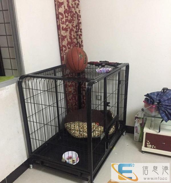 狗笼子转让低价转