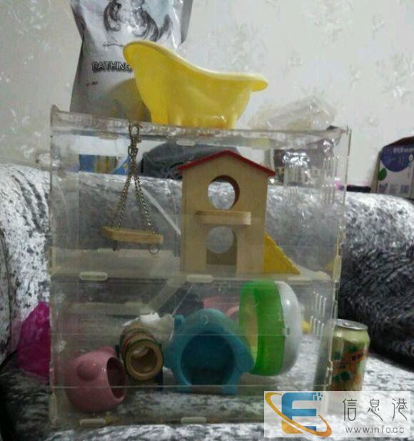 仓鼠全套物品100带走