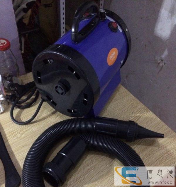 金毛大型宠物犬吹风机