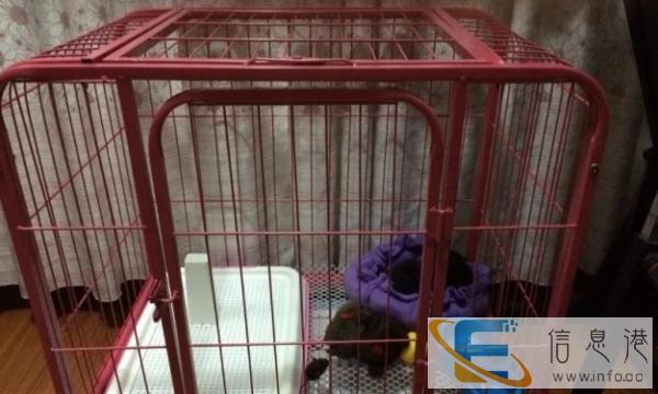 二手宠物笼子