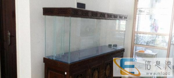 实木鱼缸,可养海水淡水鱼通用