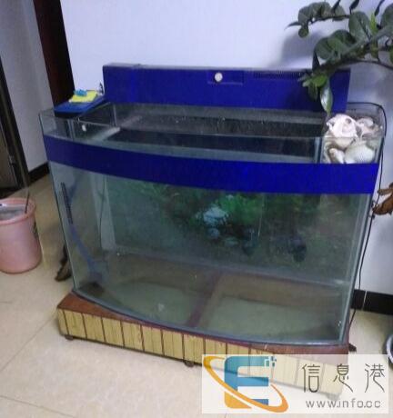 出售闲置的鱼缸