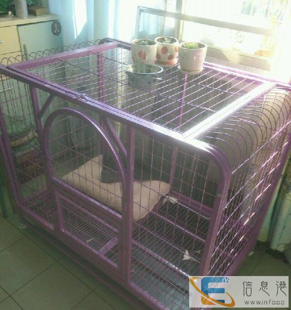 狗笼，金毛等中型犬实用