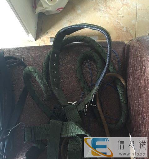 转大型幼犬成犬四袋未开全新优佰狗粮因爱犬丢失