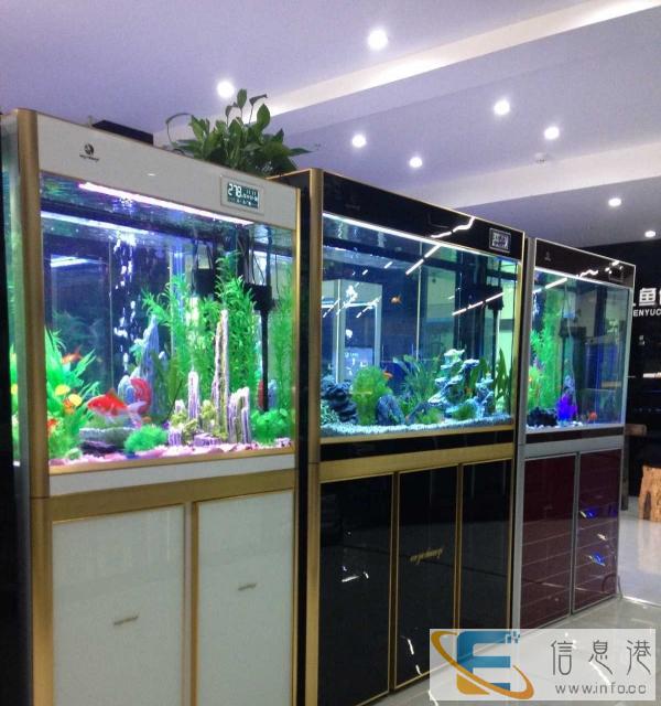 重庆26度水族用品有限公司诚征各地经销、代理合作