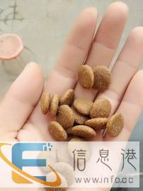 厂家直销狗粮猫粮宠物用品批发零售招代理商合作