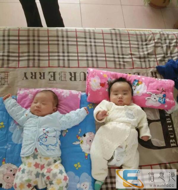 仁寿县家政公司提供阿姨