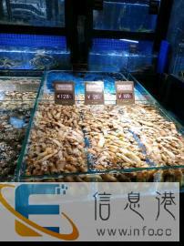 专业做海鲜池鱼缸