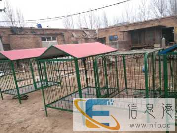 全新狗用品降价处理