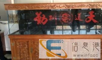 专业定制金晶超白龙鱼缸