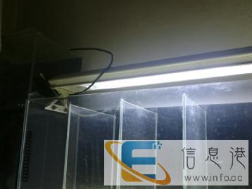 转让闲置鱼缸四个