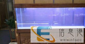 海之杰鱼缸厂生产定制超白鱼缸