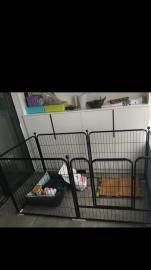 狗狗自由组合区域护栏，可拆卸