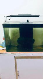 转让家里闲置海水检验和繁殖鱼缸，价格可议