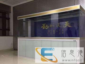 专业设计定制水族箱，鱼缸，酒楼海鲜池