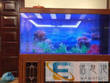 鱼缸水族箱专业设计定制