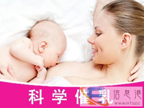 正规月嫂公司 费用