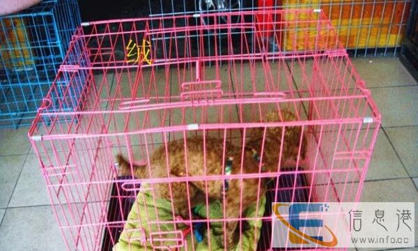 九成新狗笼,仓鼠笼出售