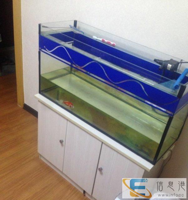 较大鱼缸低价转让