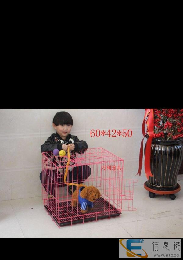 转让九九新宠物笼