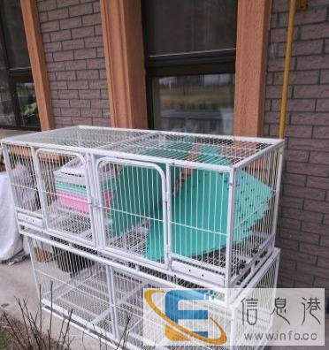 猫别墅三层全新