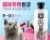 猫沐浴露猫咪洗澡专用杀菌除臭止痒宠物猫猫用沐浴露香波猫咪用品
