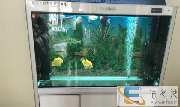 闽江1.5米龙鱼底滤鱼缸