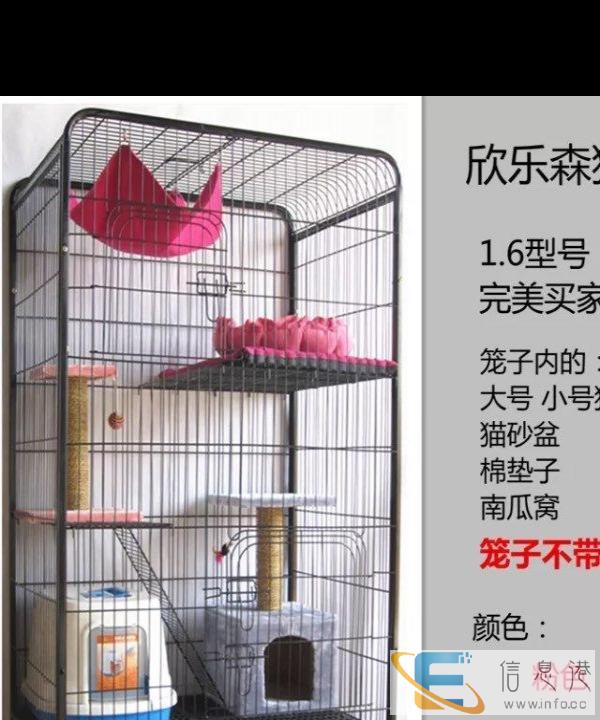99新，笼子，适合养猫