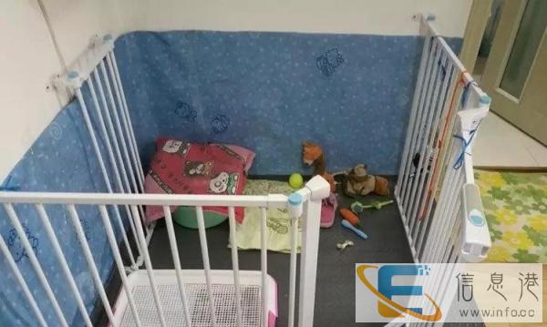 原价892元全新笼子现在500 转让