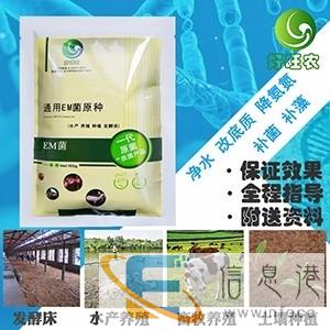 怎么养对虾得病少产量高