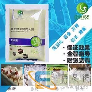 养猪不喜欢吃食精神差怎么办