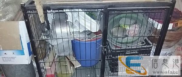 萨摩，拉布拉多等中大型宠物专用笼子