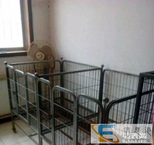 超大跑笼低价出售