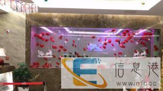 苏州鱼缸定制大型水族工程设计