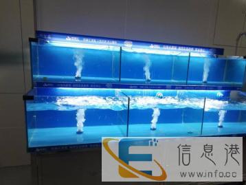 酒店海鲜鱼缸超市海鲜池冰台贝壳烤鱼店可移动鱼缸定做